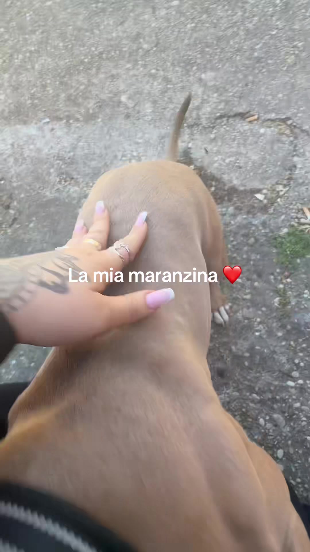 @✨🖤Lela🖤✨
