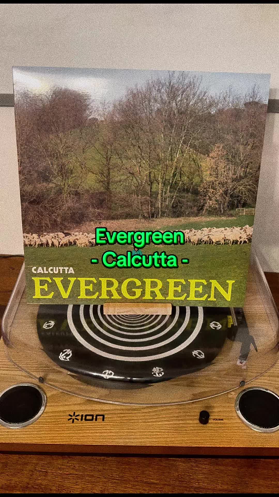 @AnimaVinile