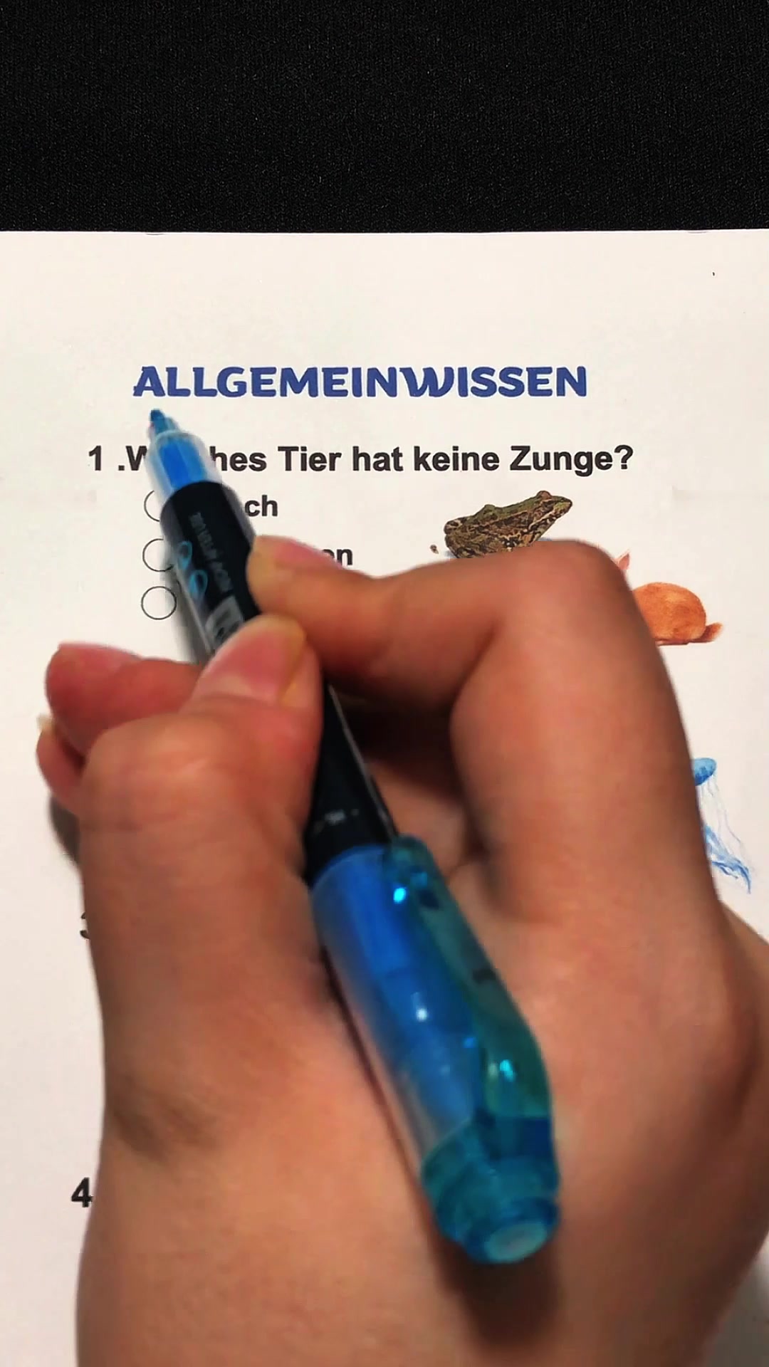 @Base Quiz