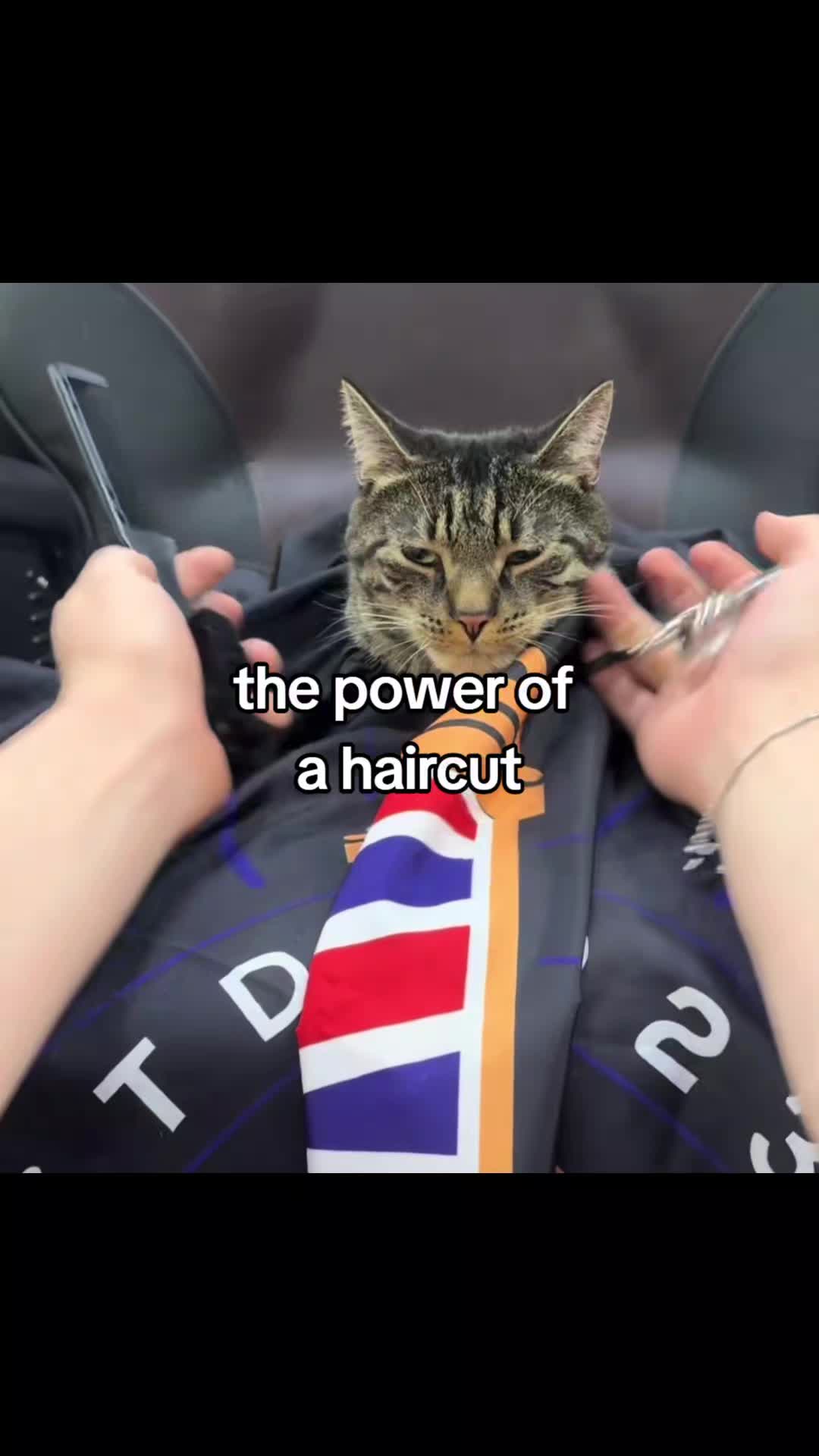 @relateable