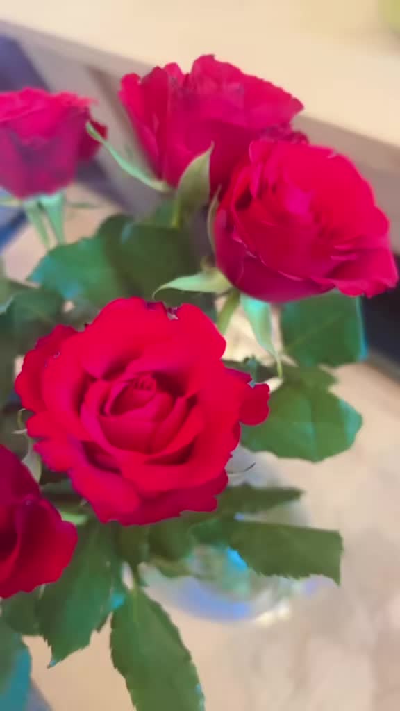 @Aamal_noor