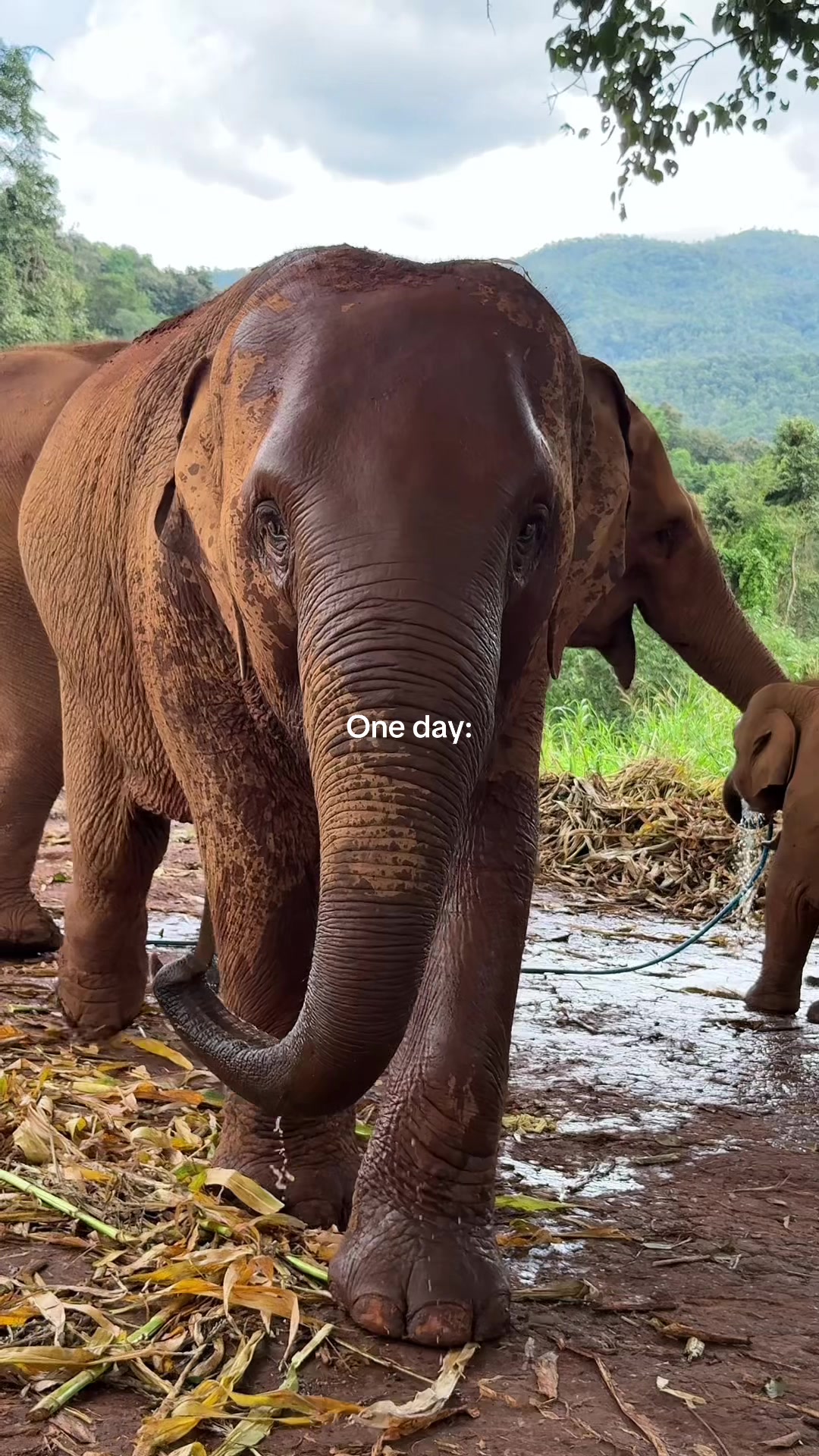 @abbietravel.co