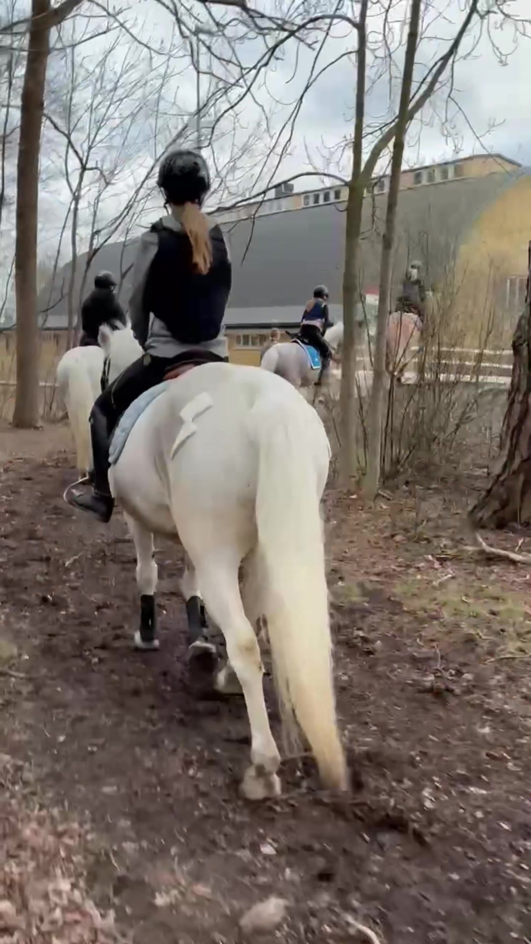 @🦄