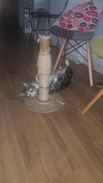 @Guardi&aacute;n de mis pensamientos