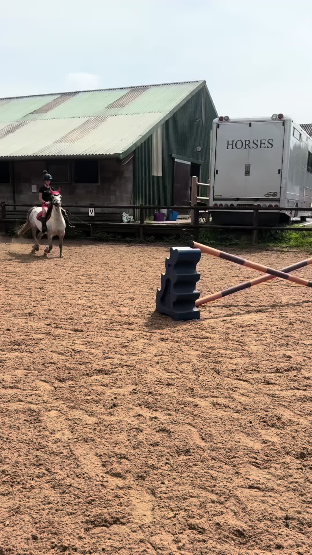 @poppy 🌾🐴 🇬🇧