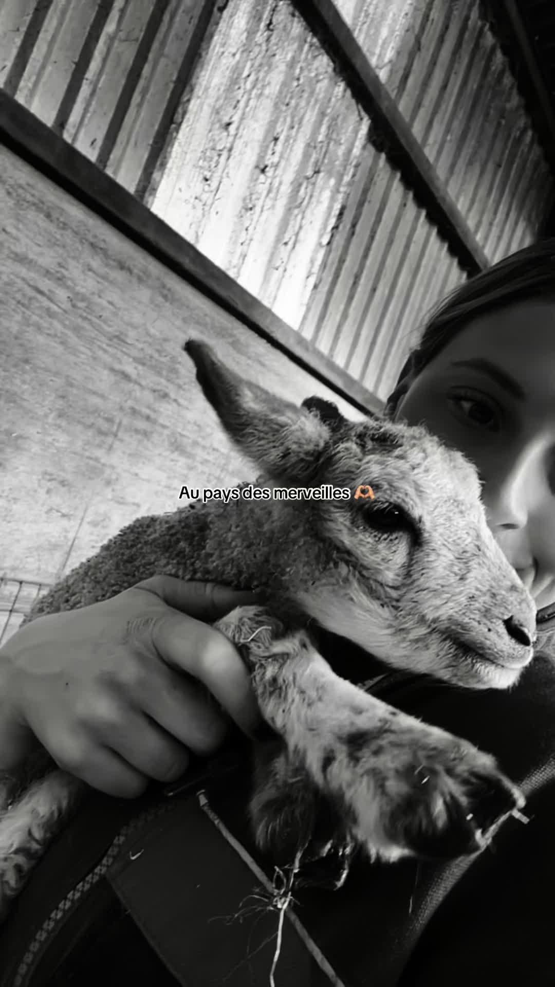 @roro_agriphoto