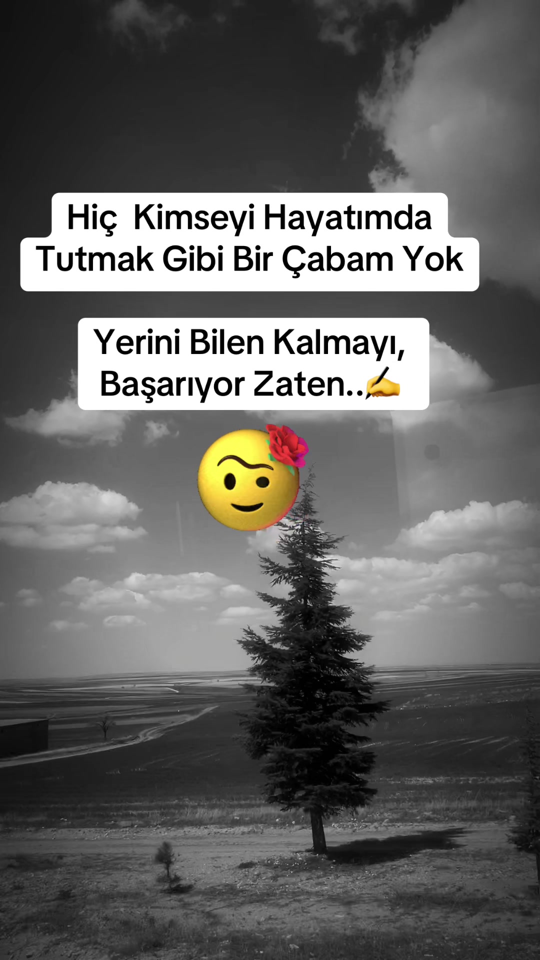 @✨🤍Ayliz_S🤍✨