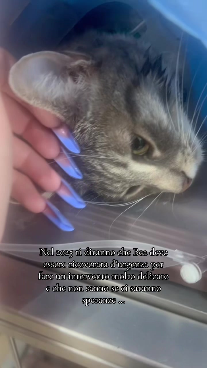 @𝙳𝚒𝚊𝚗𝚊