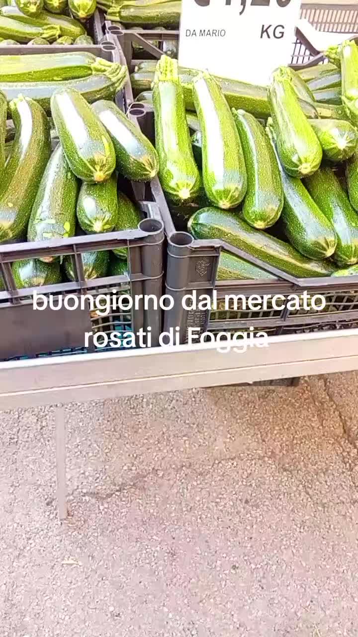 @mariodantonio7