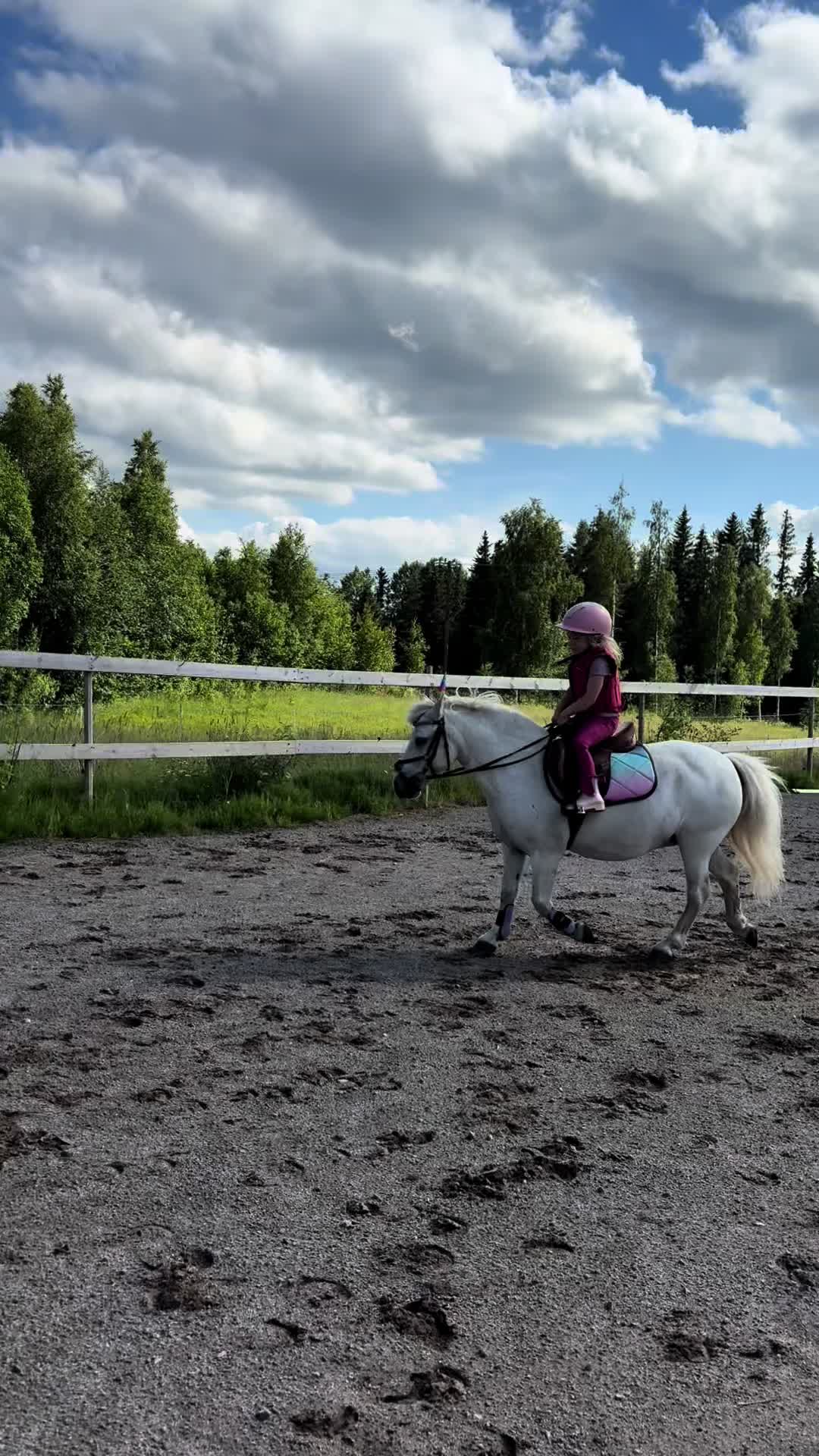 @Linnea Jansson