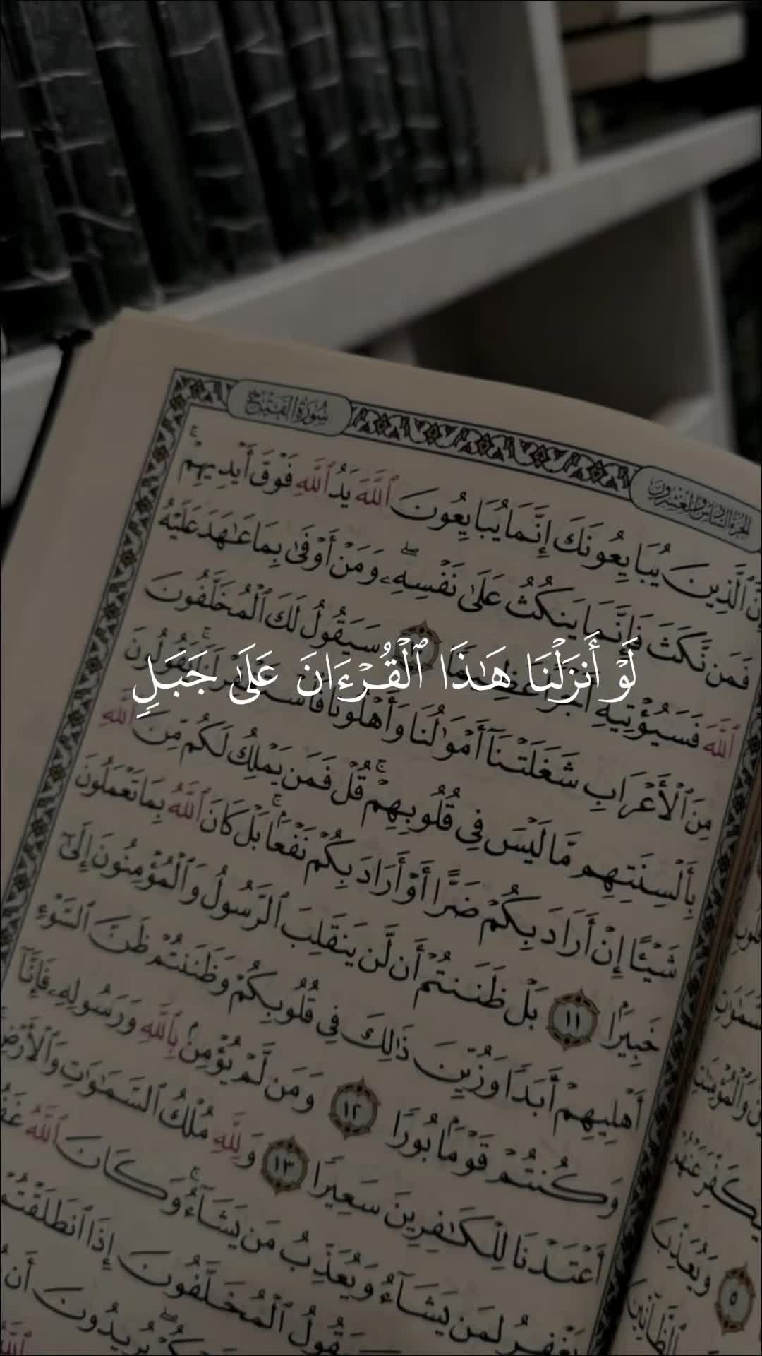 @ألا بذكر الله تطمئن القلوب 🤍