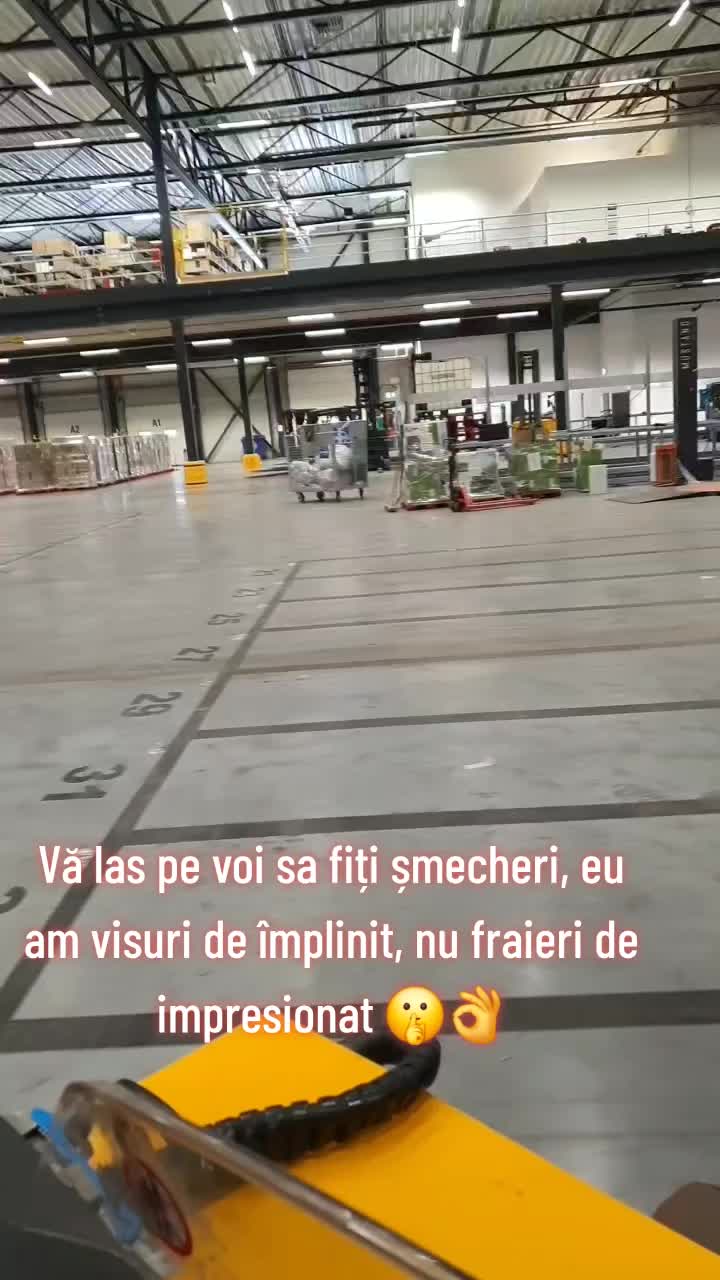 @Denis Gradinaru