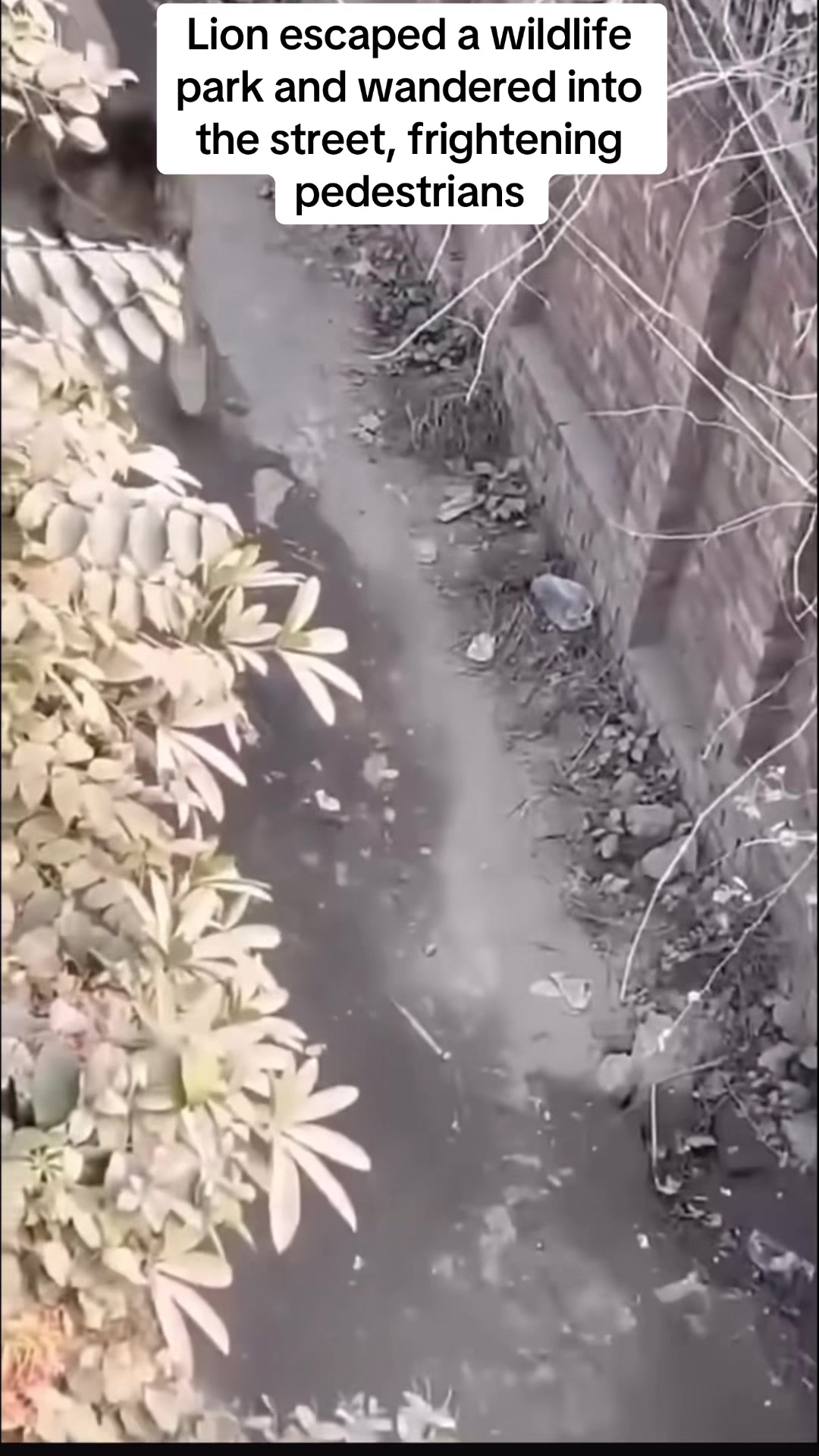 @Nature.best
