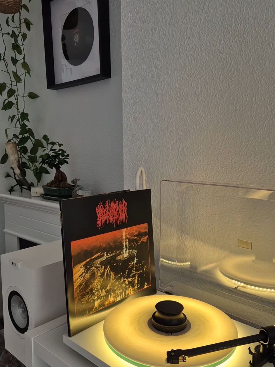 @r.vinylcollector