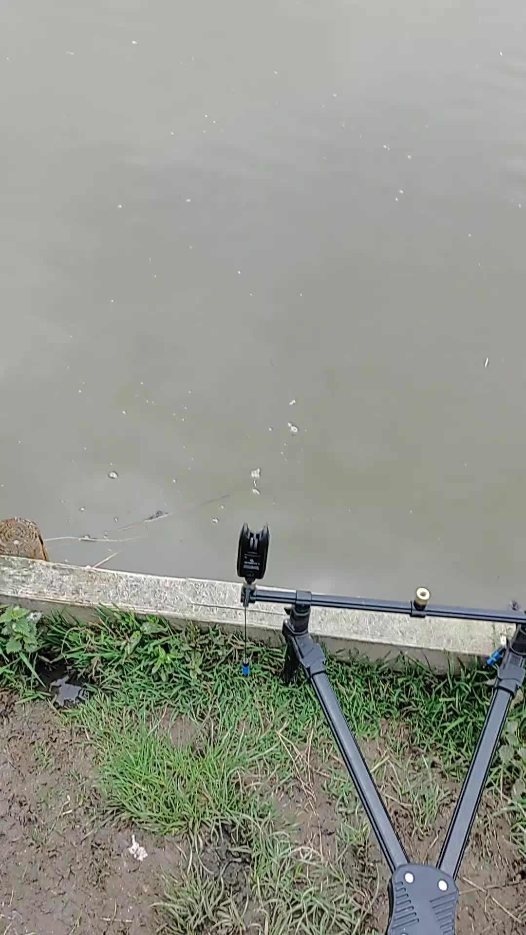 @colls Carp Fishing