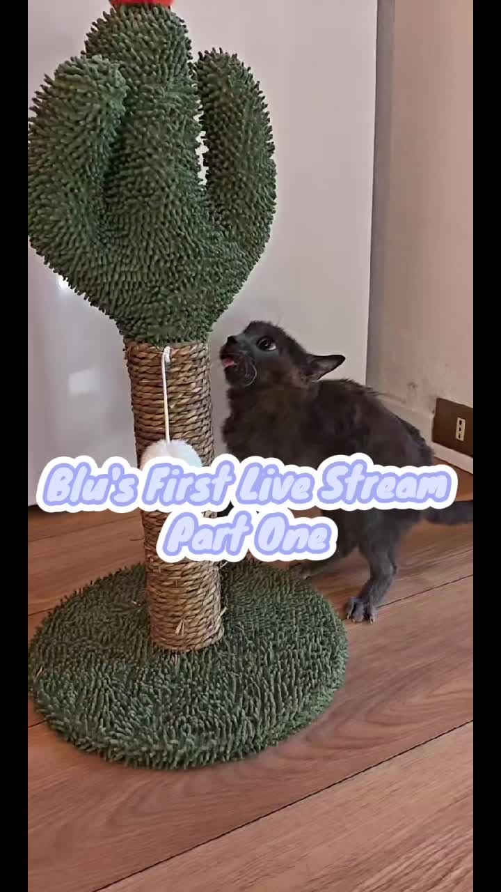 @blu_the_blep