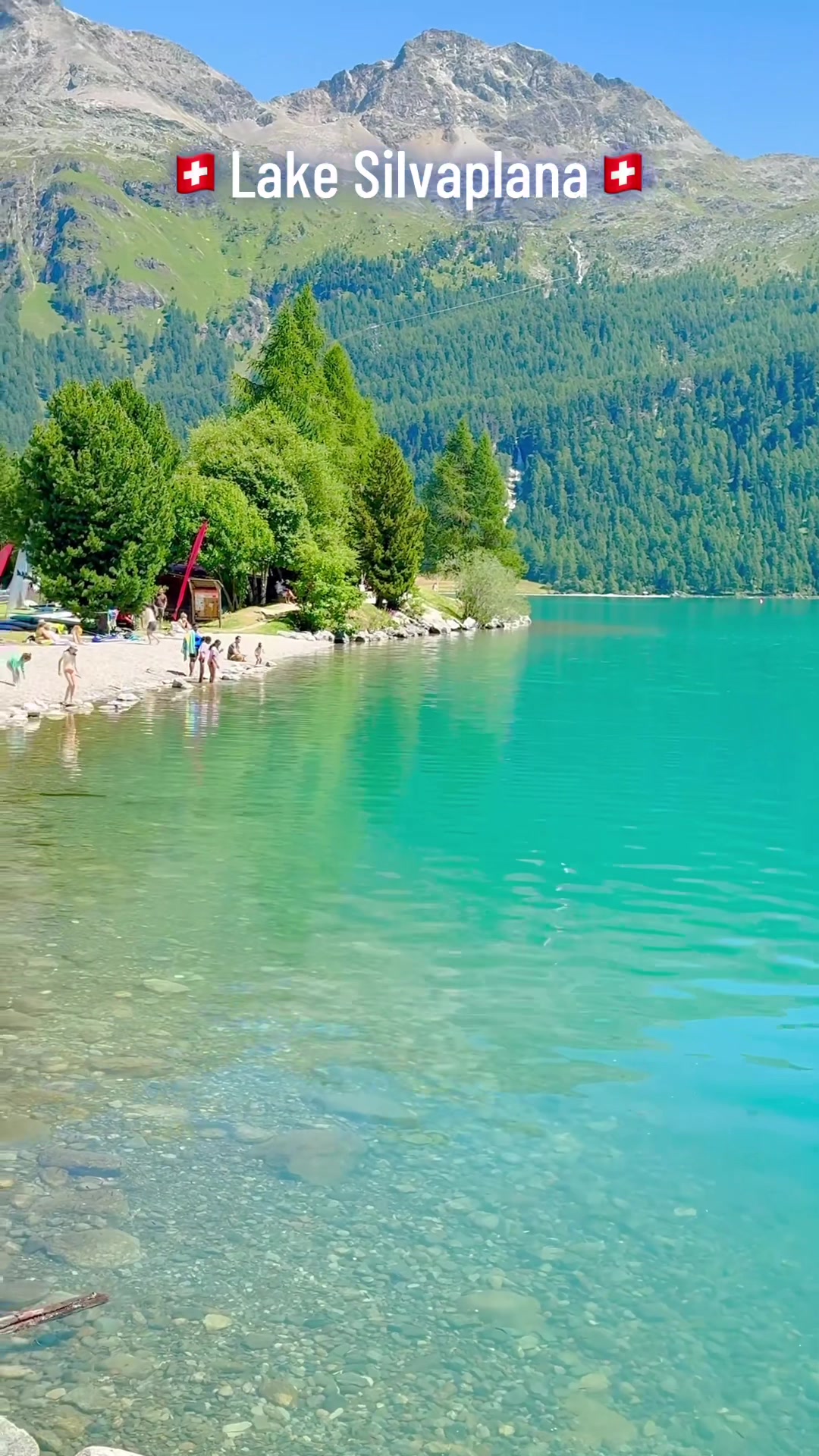 @Traveler