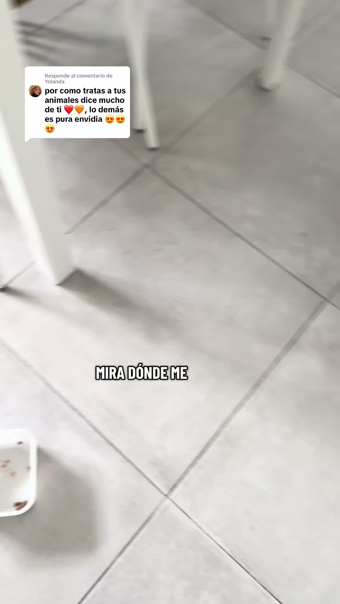 @ZARMAITAAAAA🧚♀️🧚♀️