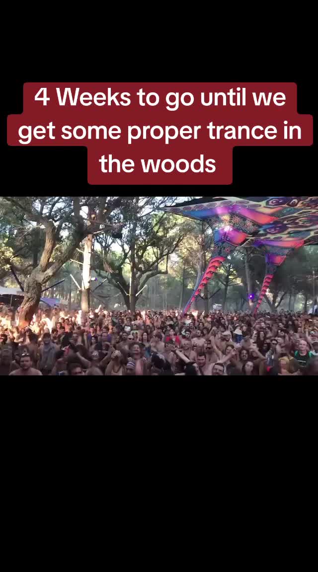 @Timescape Festival