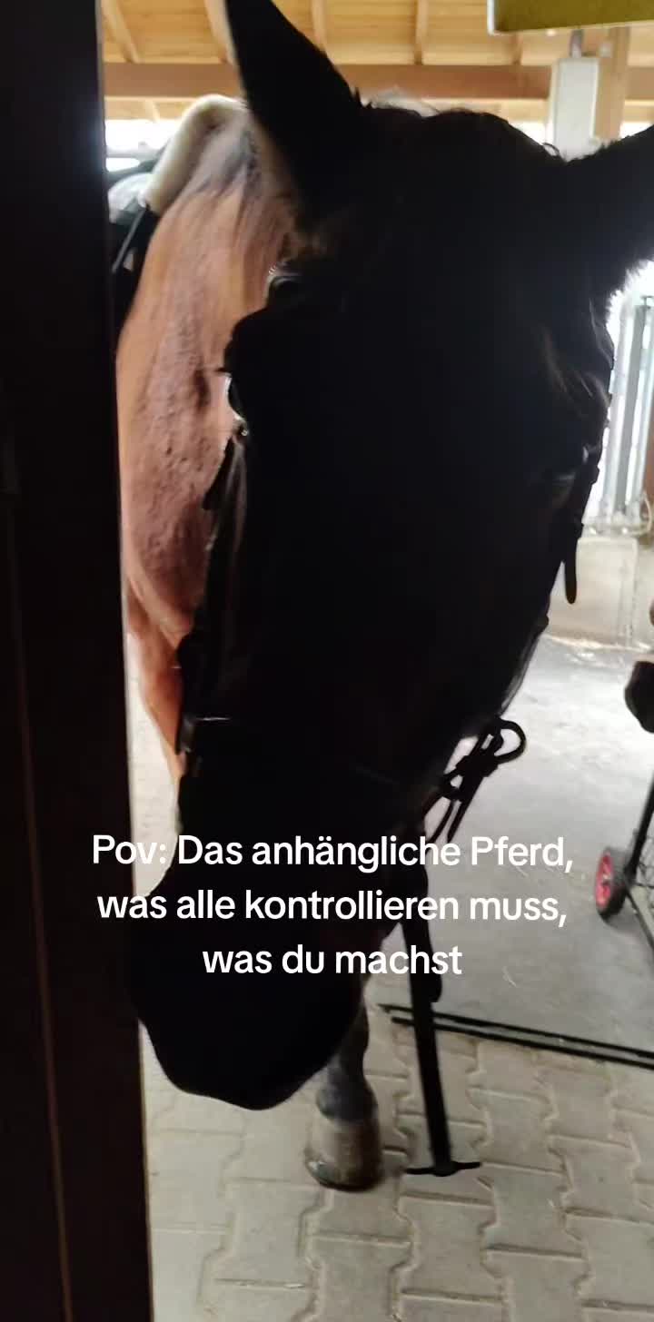 @Nathalie