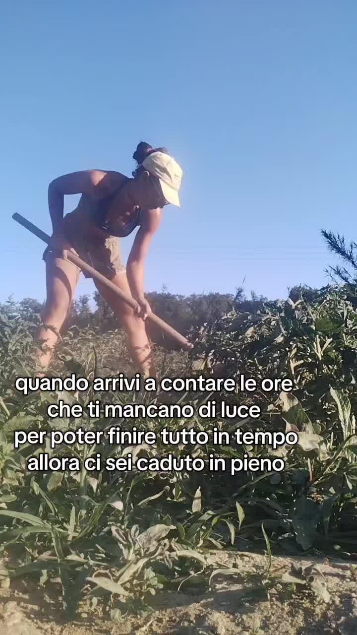 @Ilaria Ridolfi