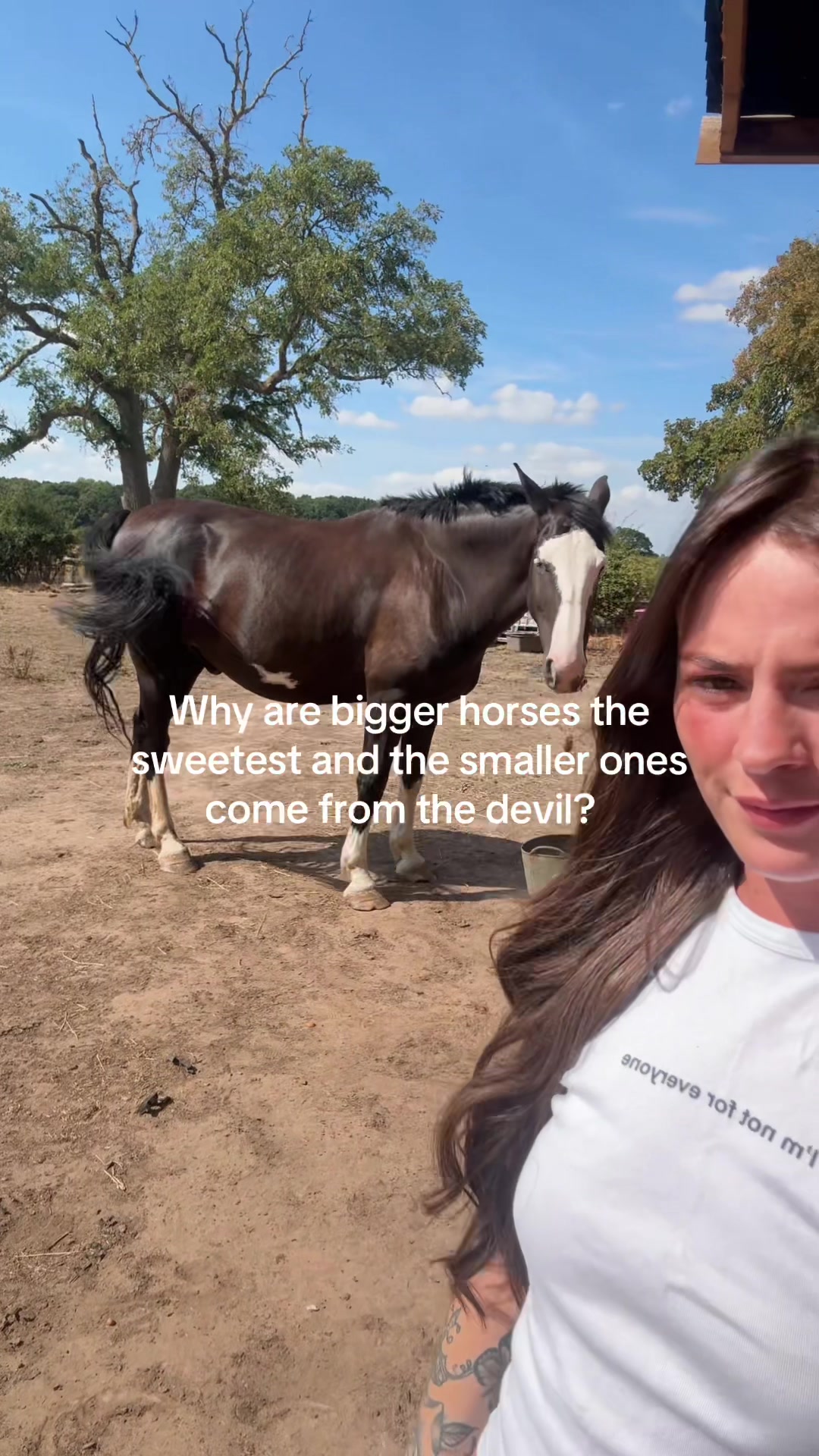 @Sophie&merlin🌸🐴