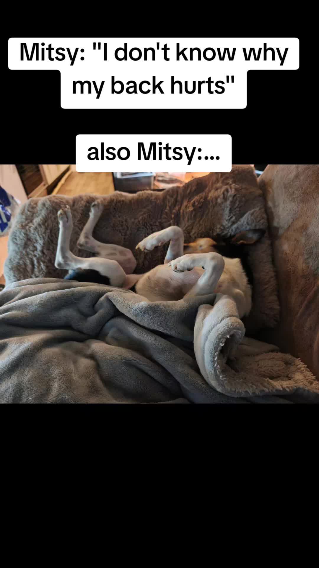 @Bestiesbeasties