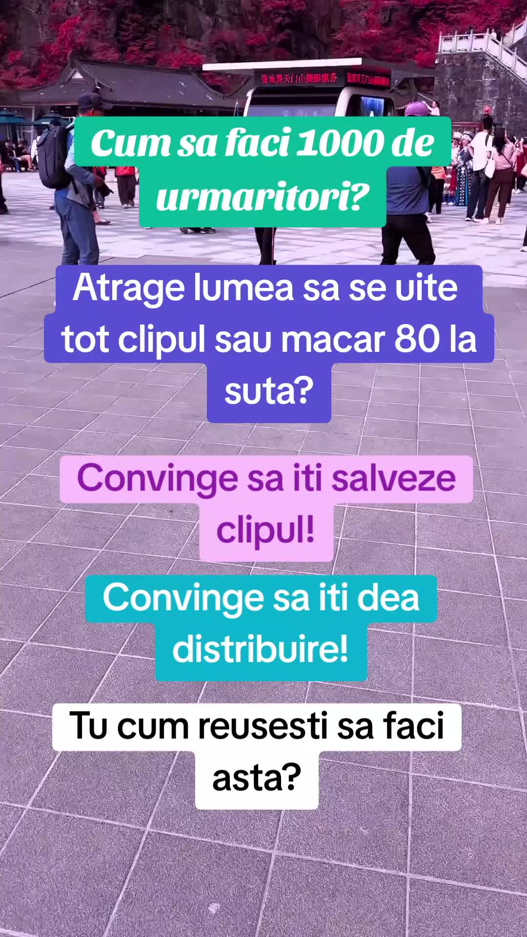 @tatifacebani