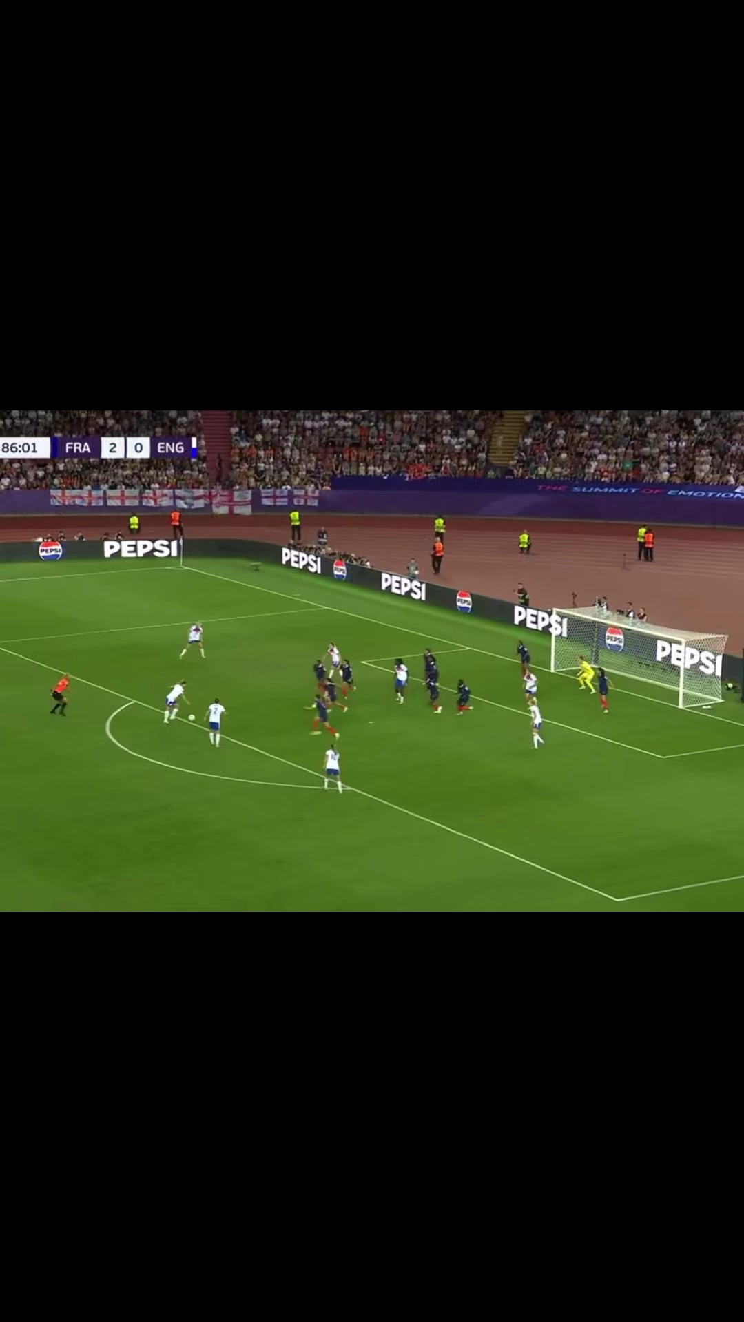 @lionesses_xoxo