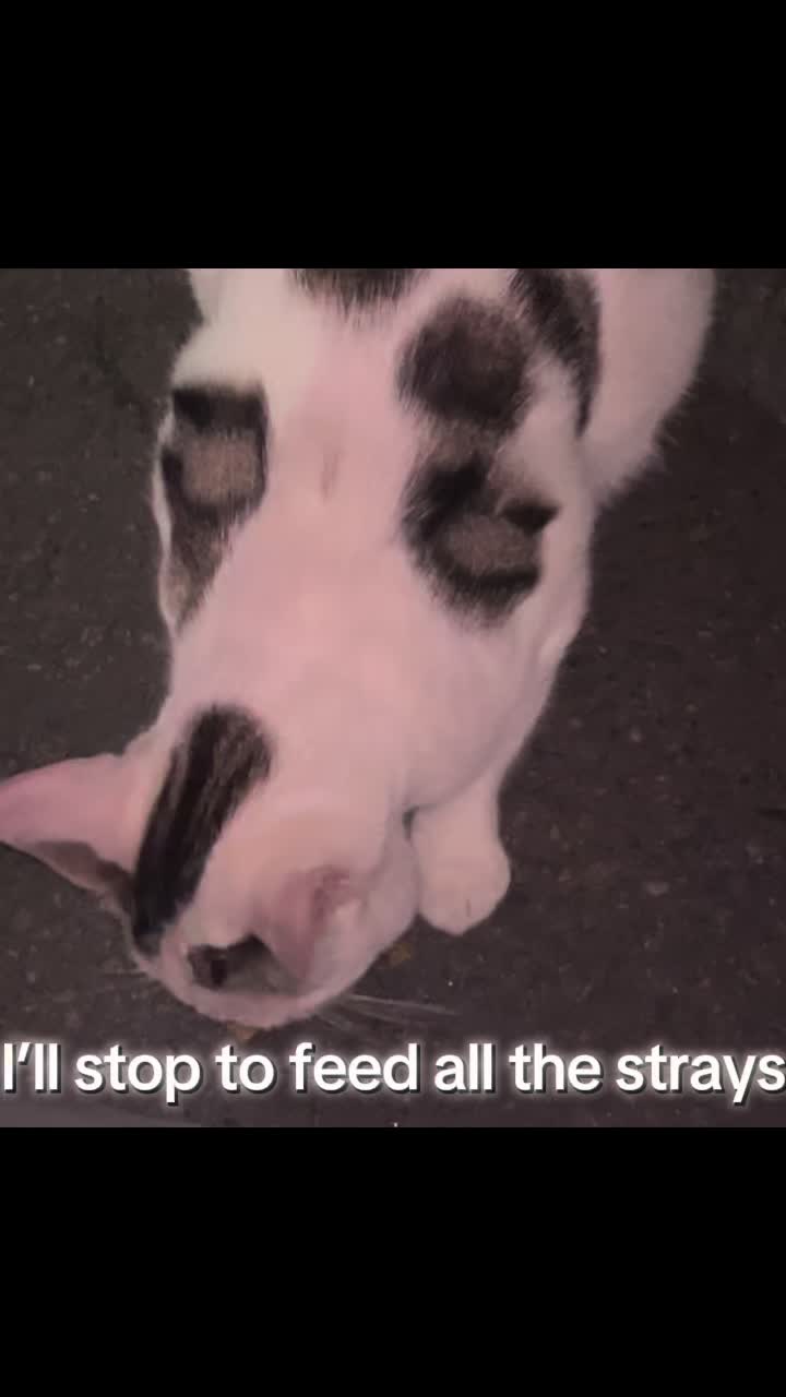 @💜A💜