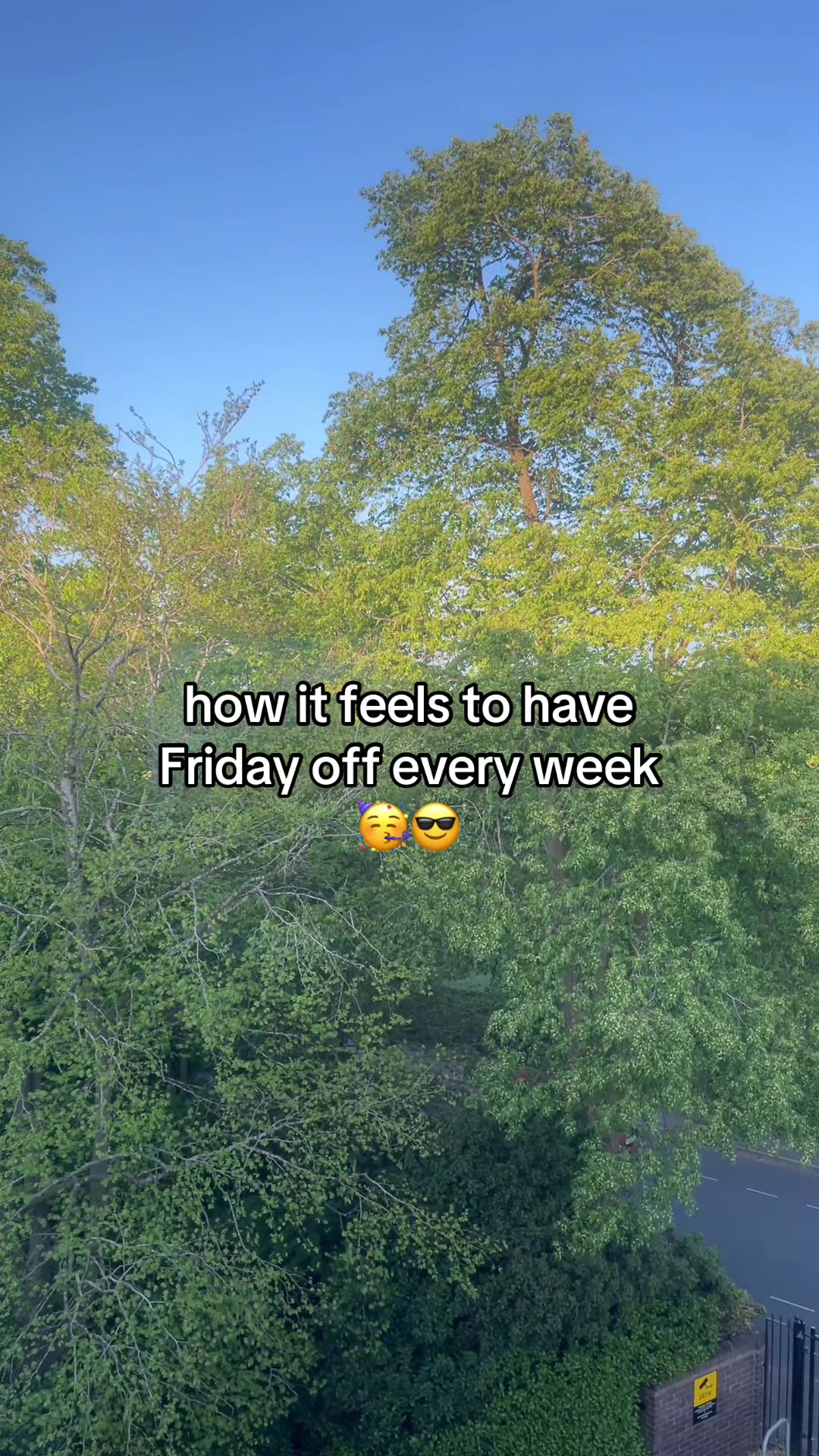 @jase 🦗