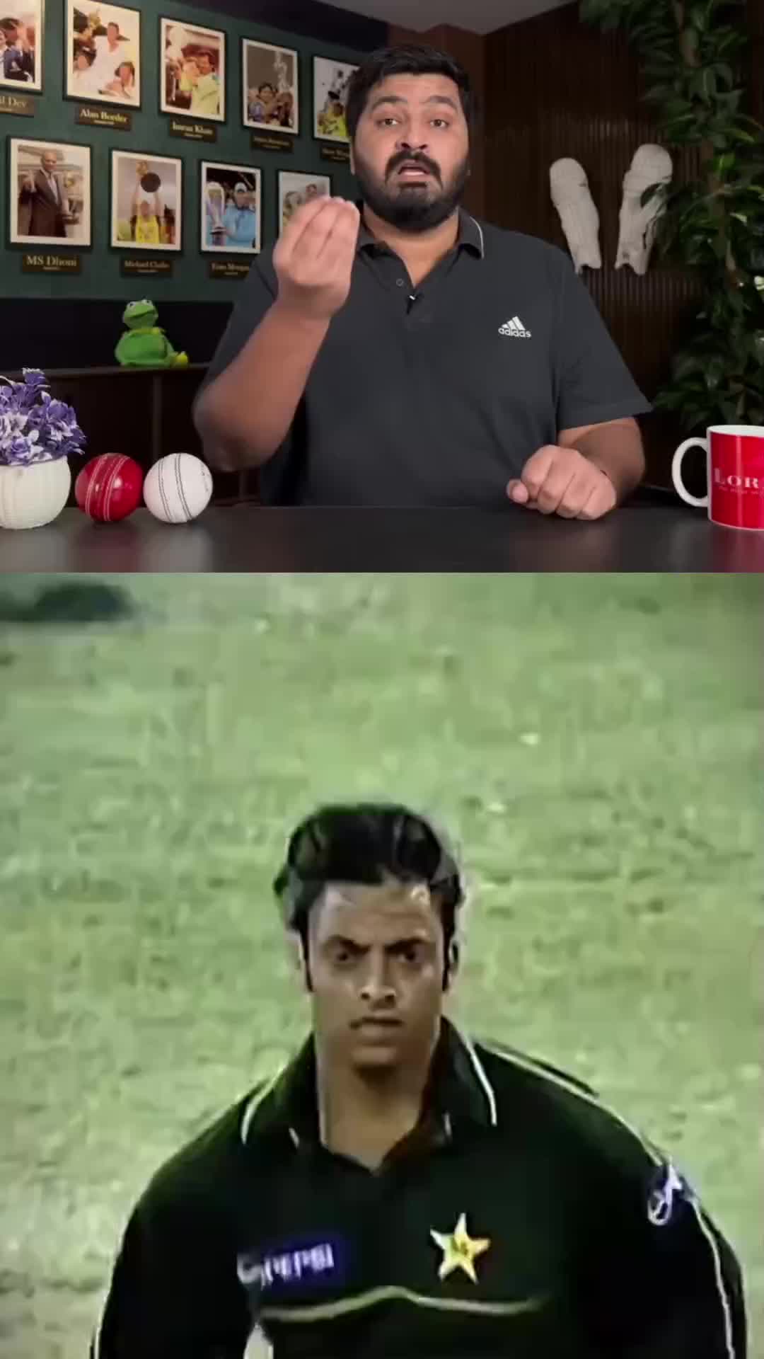 @Cricket Chat GPT