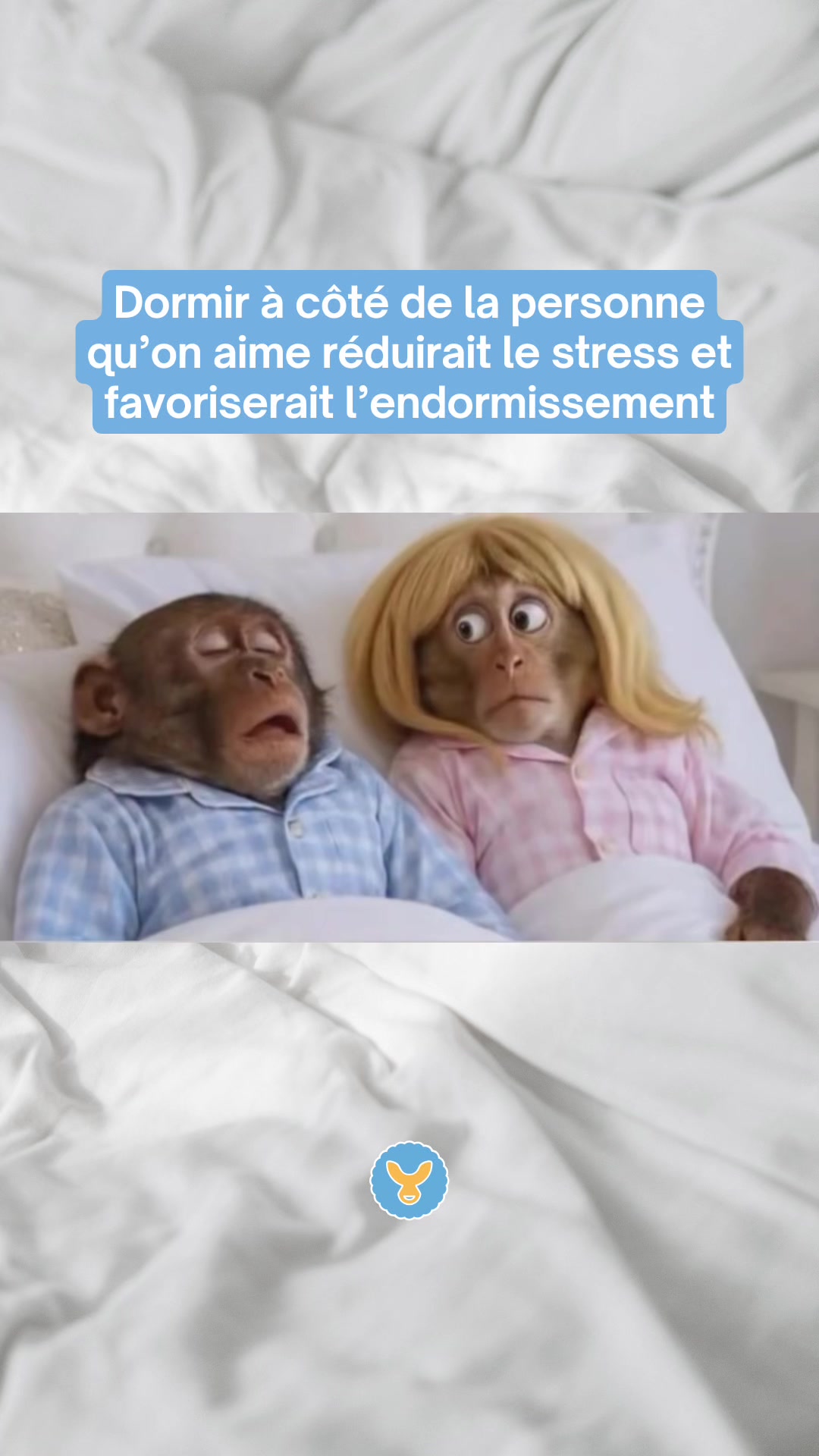 @MACHOUYOU