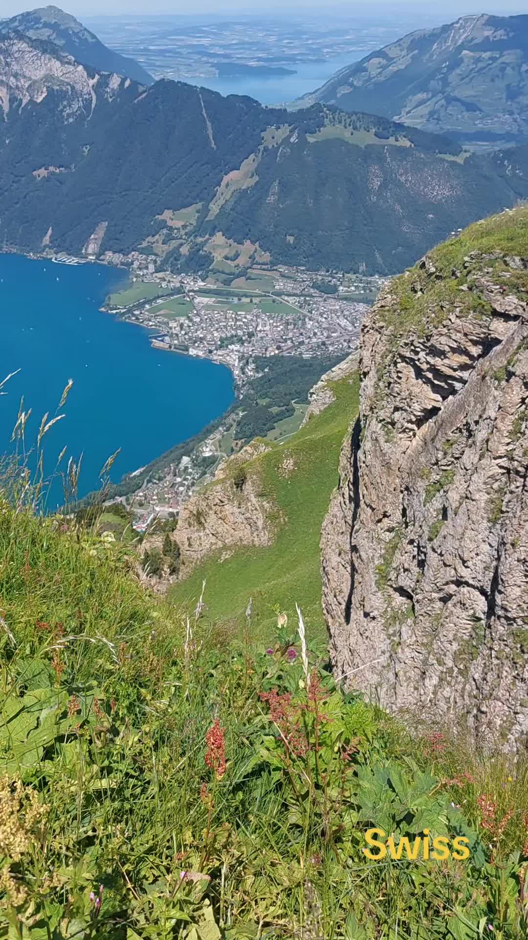 @Vladzik67