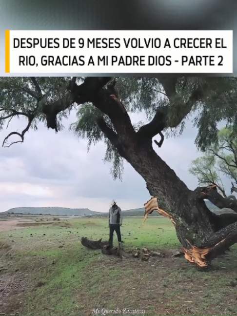 @Videos De Mi Querido Zacatecas