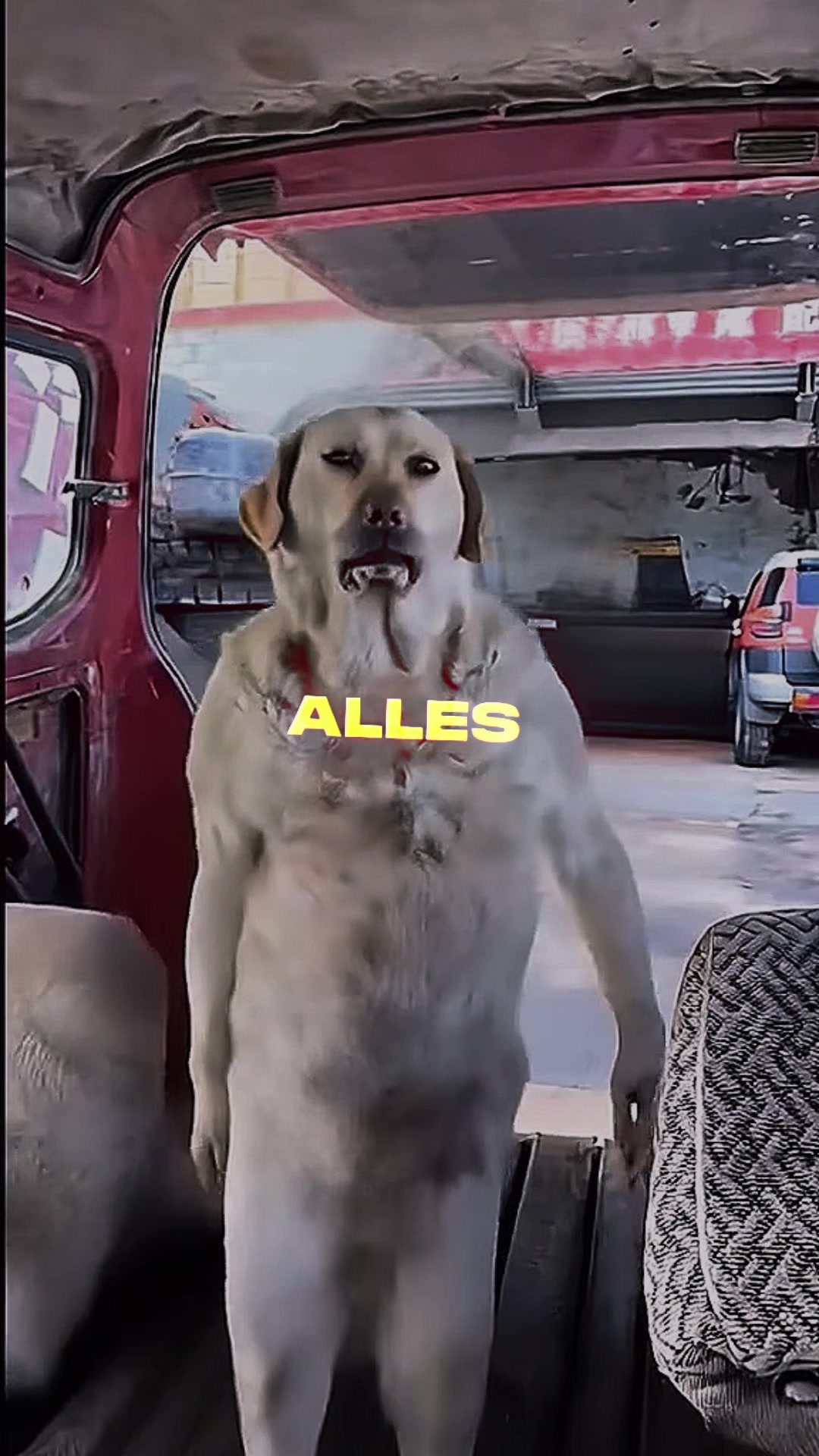 @Mealo