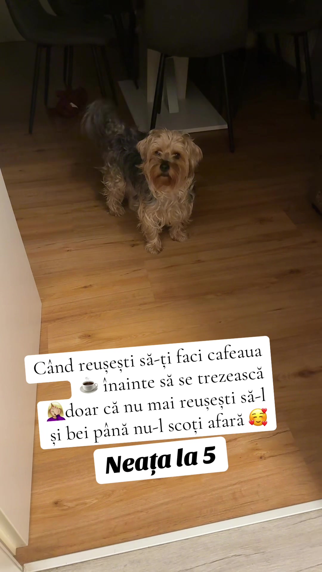 @agnes 21💋