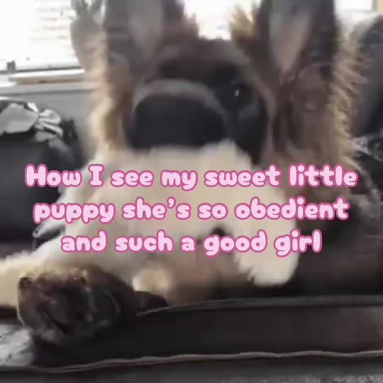 @_xxvzvxx_