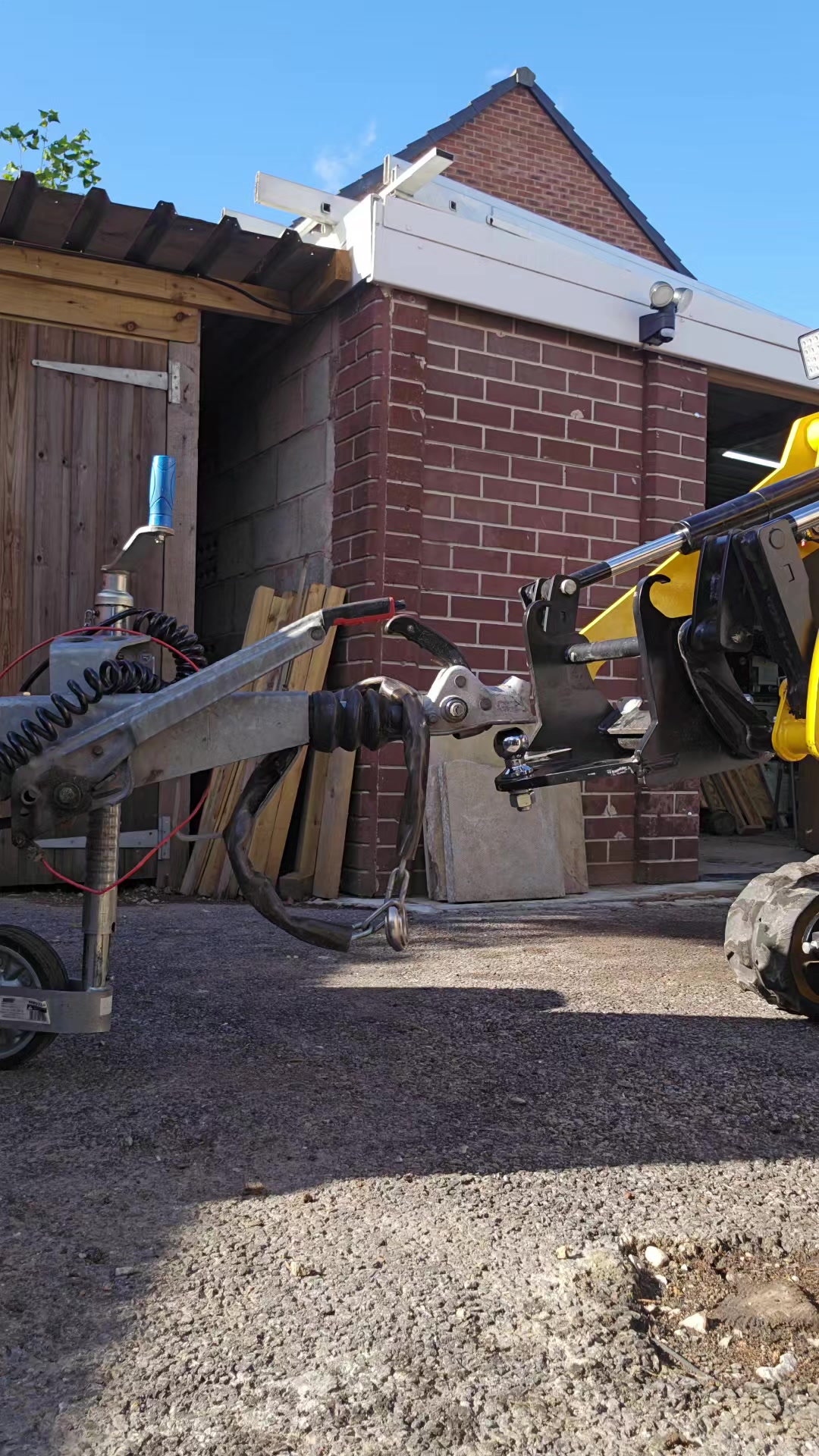 @treesportsfans