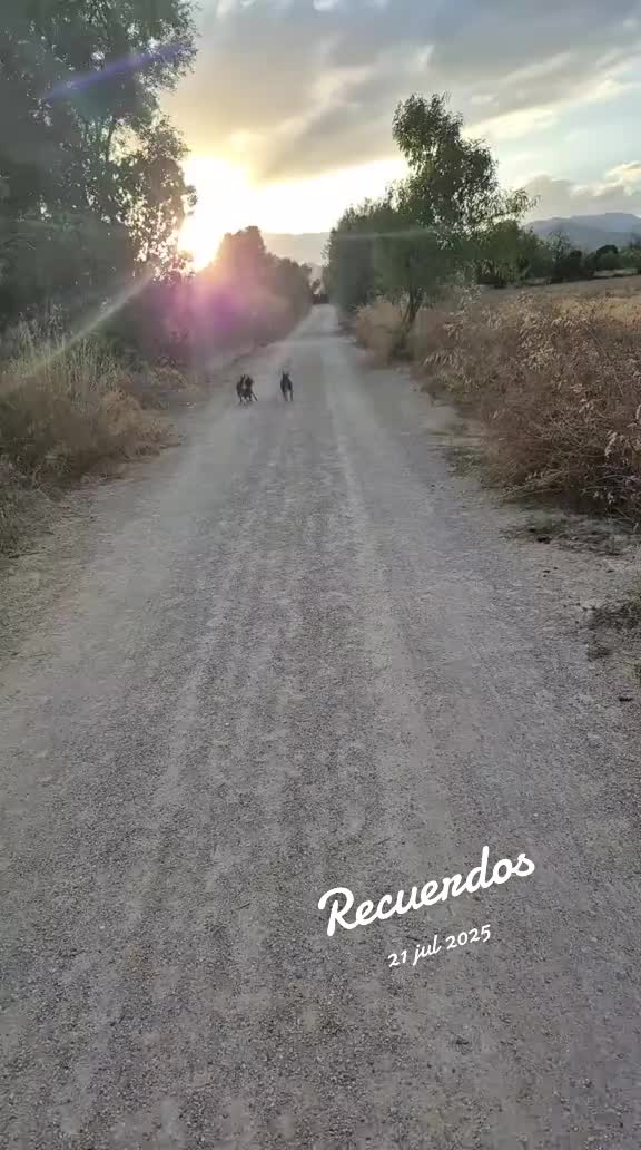 @AntoCM💕