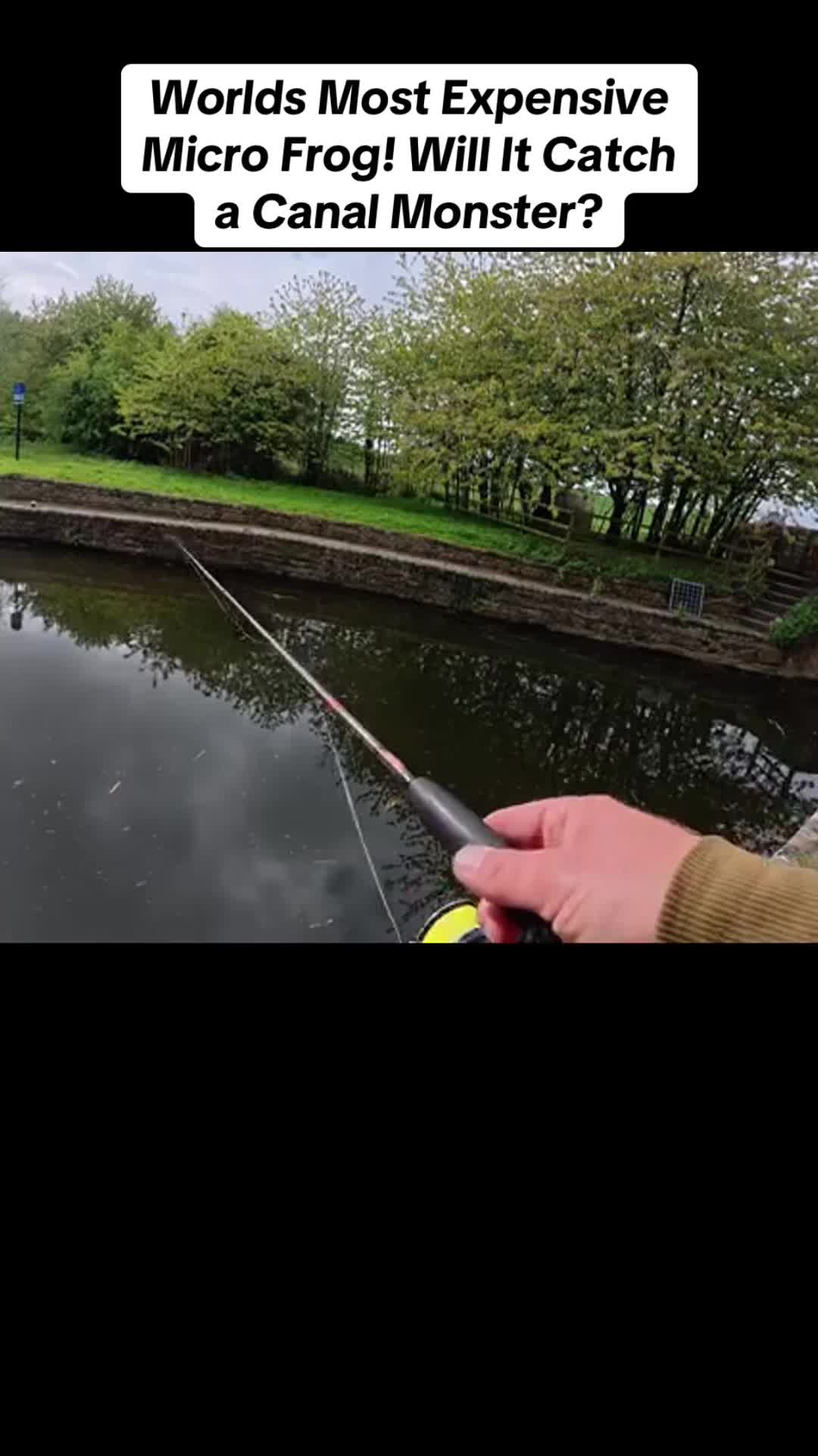 @Fish With Carl