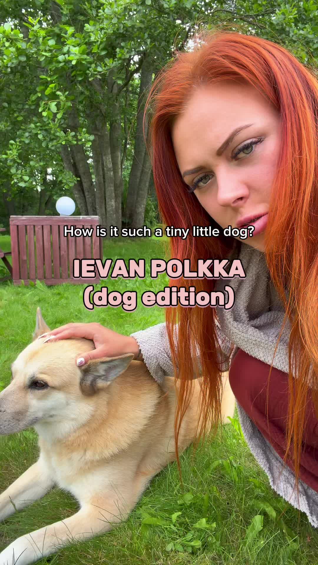 @the orange one 🧡🇫🇮