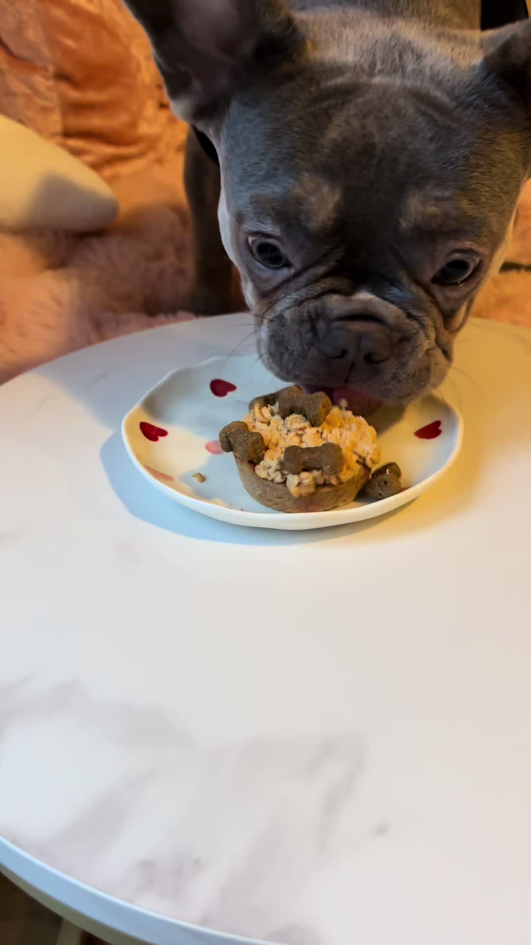 @Diablo the frenchie