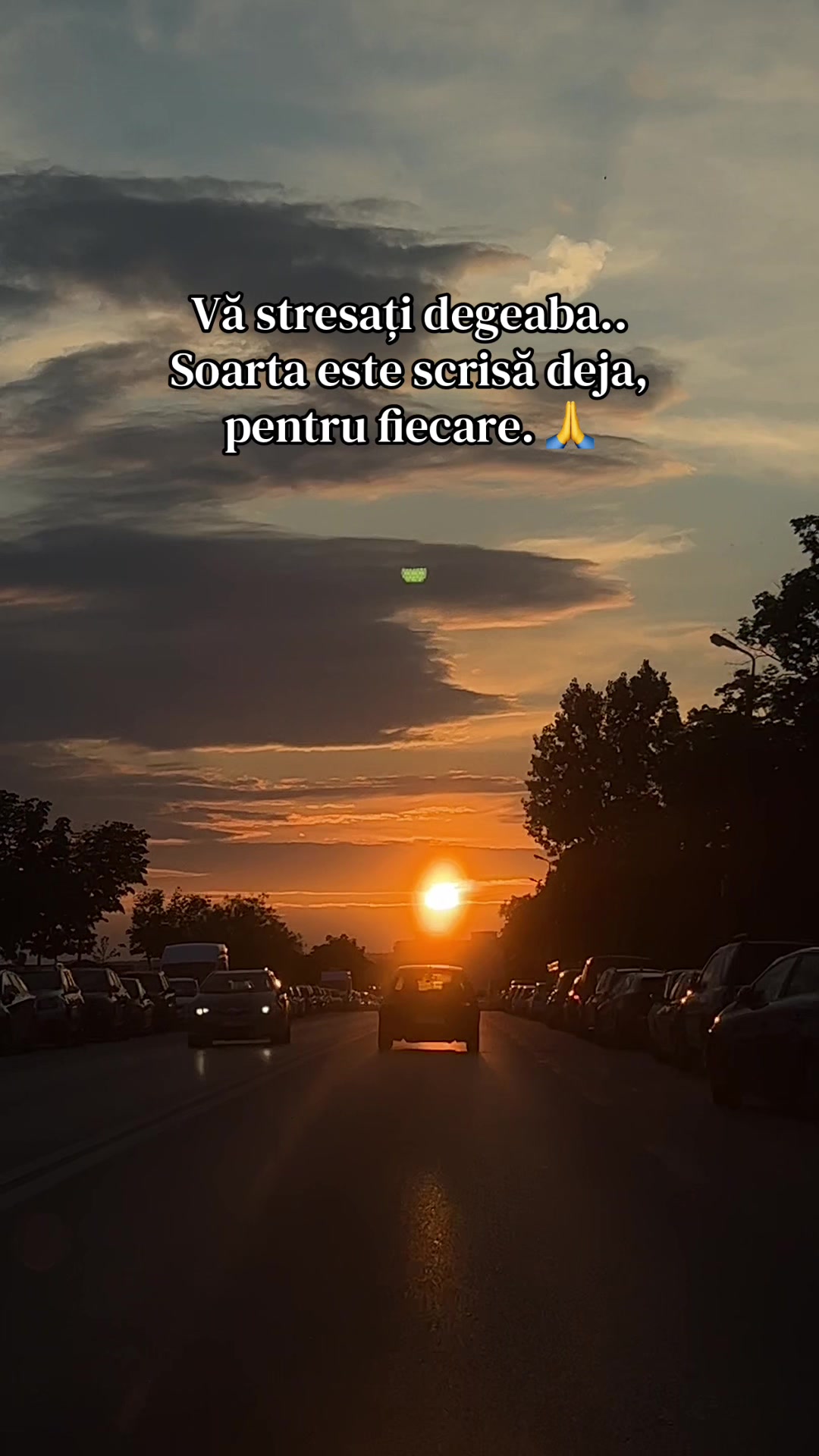 @Madalina Signea