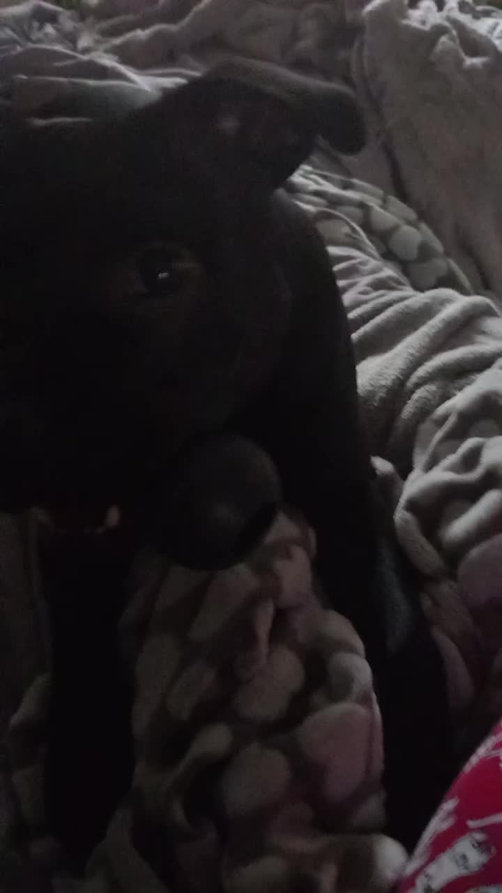 @Faby&Athos🐾