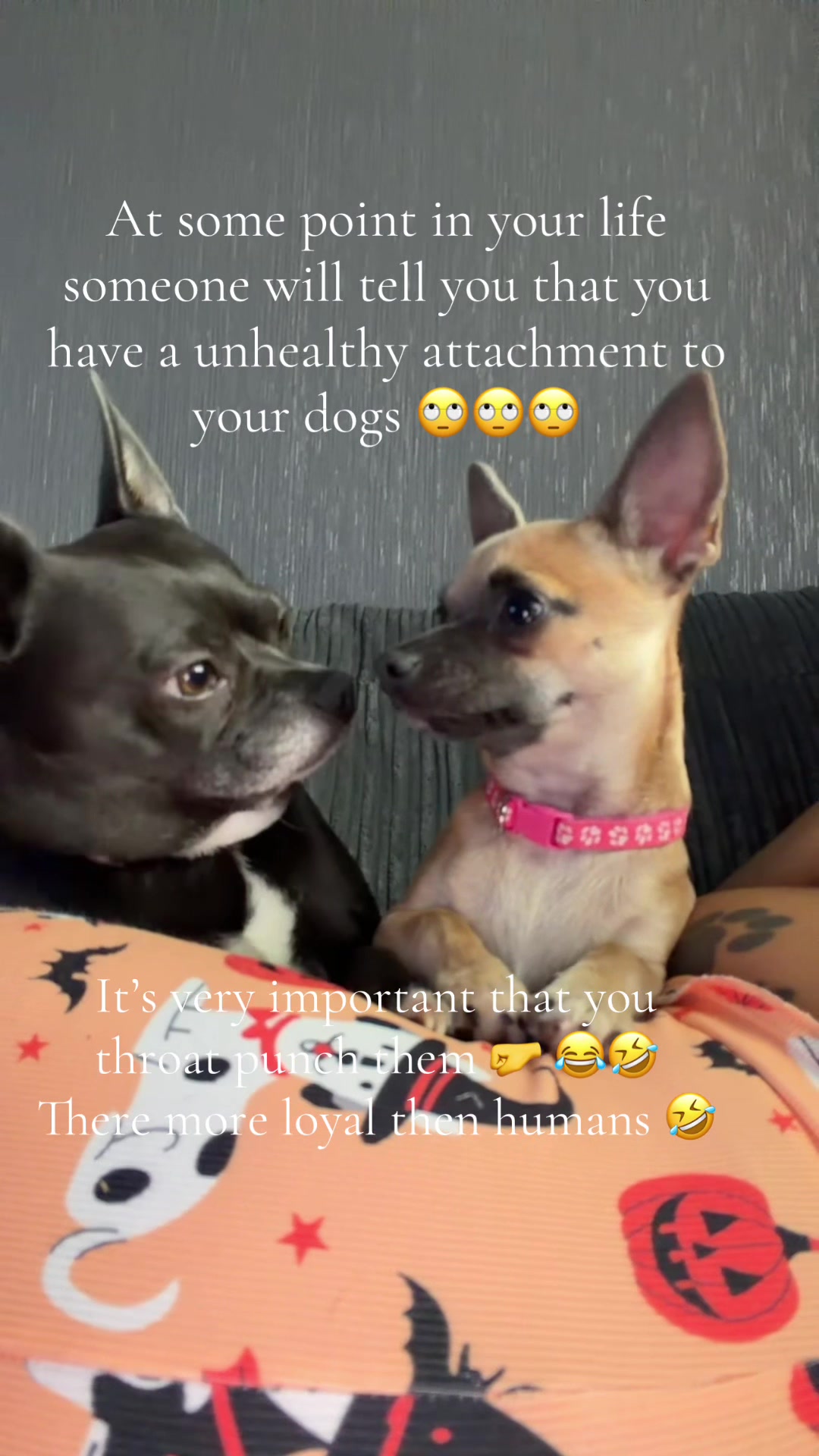 @Jen🪽🕊️🤍