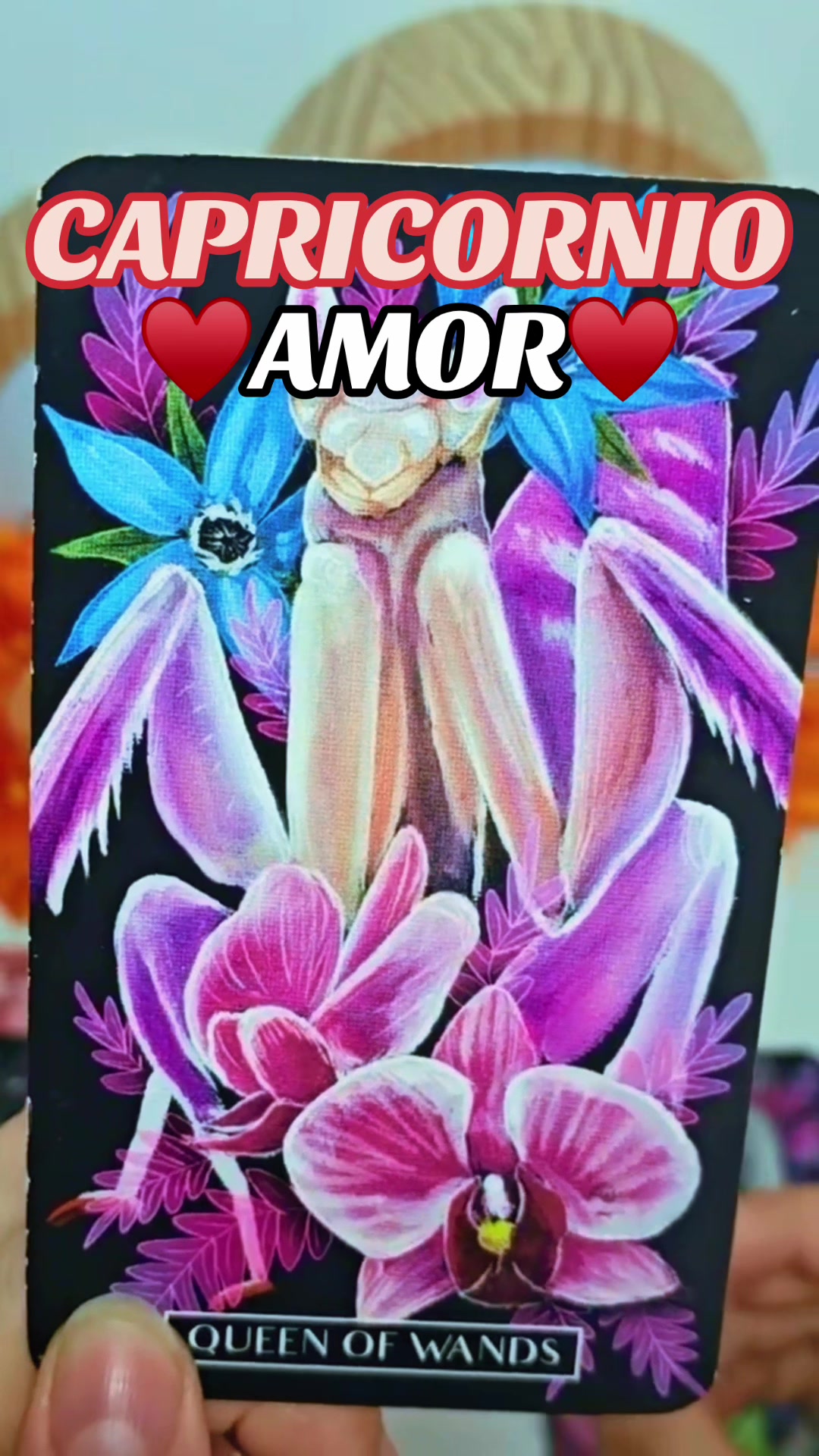 @Daniela Tarot