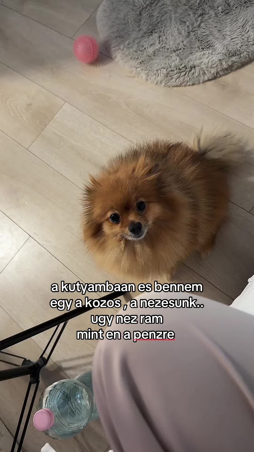 @mezeiklaudia_