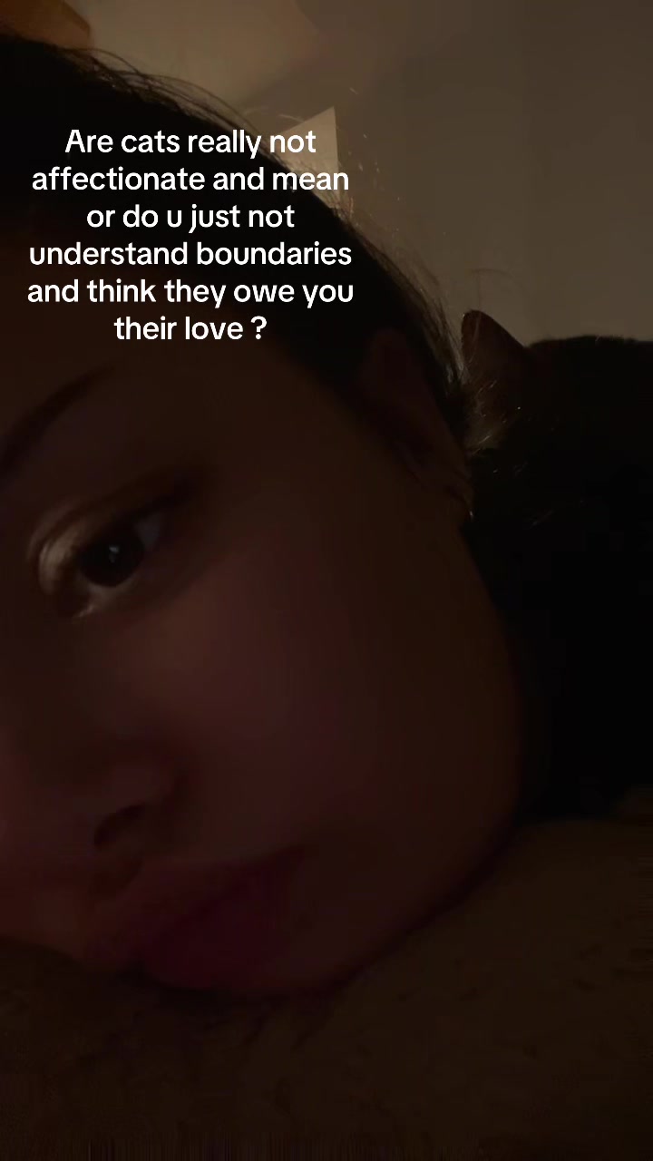 @Estrelaxisa