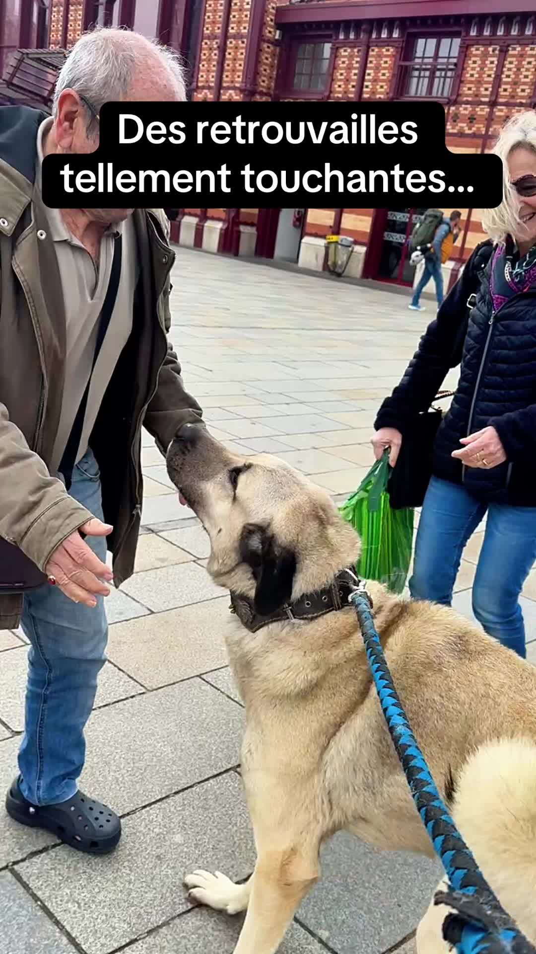@Purekangal